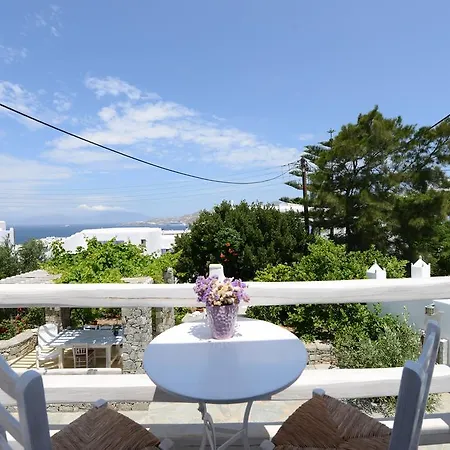 安德里尼宾馆 2* Mykonos Town
